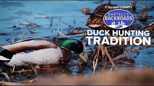 Grizzly Island's duck hunting tradition | Bartell's Backroads