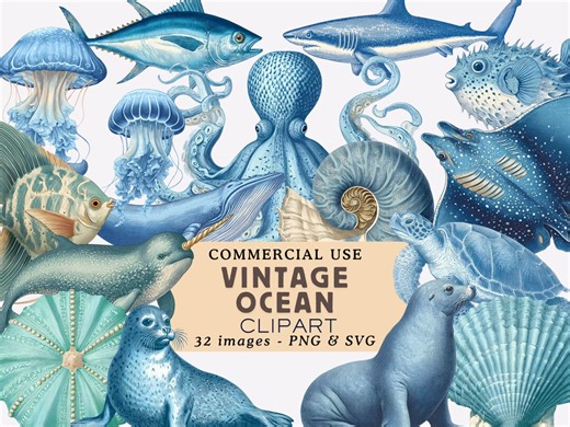 Vintage Ocean Clipart Bundle Sea Creature Illustrations Vintage Nautical Fish Graphics Navy Blue Sea Animals for Scrapbooking - Etsy