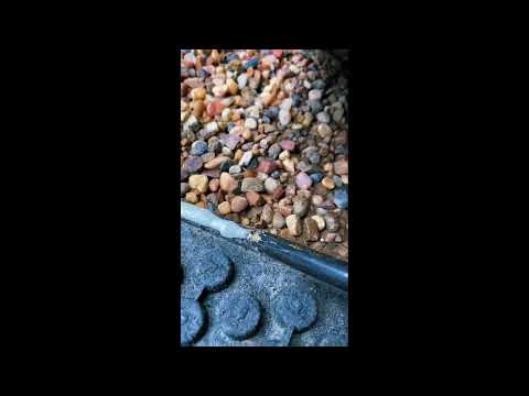 ROCK-IN-ROLL Quick and Easy Installation