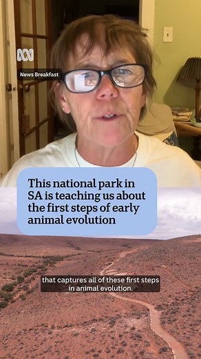 4K views · 75 reactions | Some of the most extraordinary geology ever found on our planet is in Adnyamathanha/ Kuyani Country in the Ikara-Flinders Ranges, around 500km inland from Adelaide. Farmer Ross Fargher uncovered the fossil site in the mid-1980s and sold part of their property to the South Australian government in 2019, creating Nilpena Ediacara National Park. #ABCNewsBreakfast | News Breakfast | Facebook