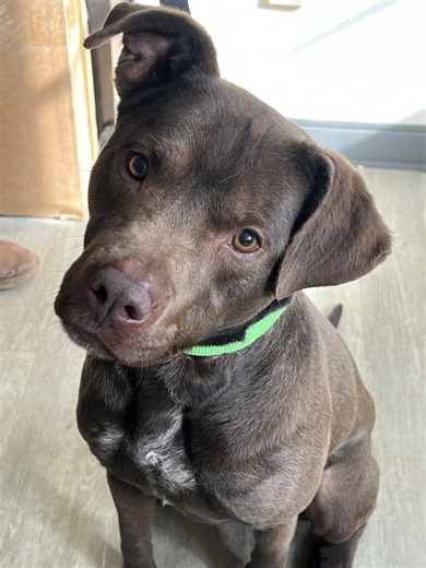 6.3K views · 200 reactions | ***Intake Alert - Welcome Champ!***...