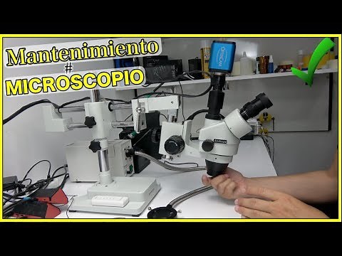 Mantenimiento del Microscopio Optico - Limpiar las Lentes