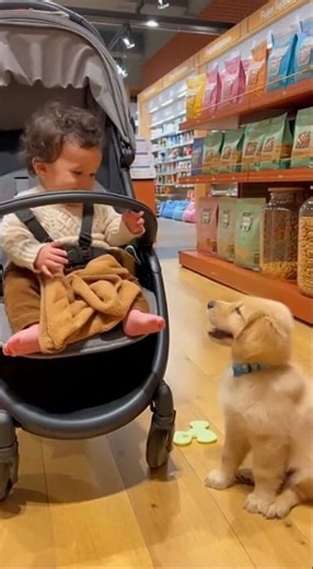 Dog & Baby #dog #baby #ai狗和宝宝 #dog#baby#ai #cute #cutebaby #cuteanimals#papa #baby #funny #fyp