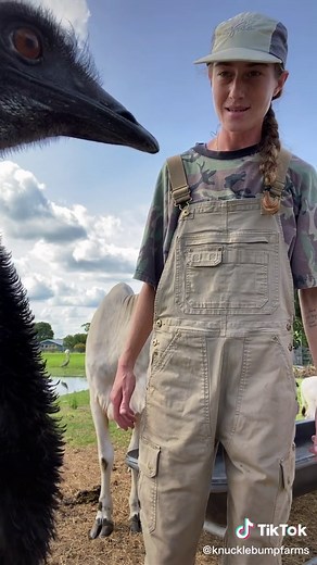 Emanuel the Emu: Funny Animal Videos on TikTok