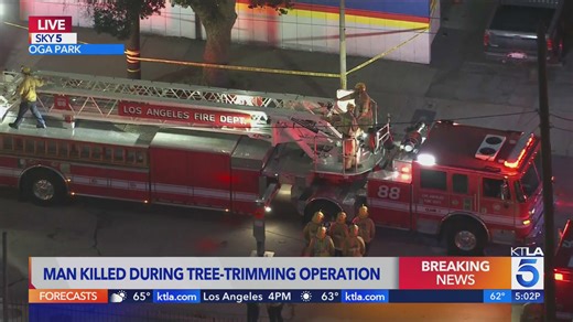 Man killed during tree-trimming operation in Canoga Park