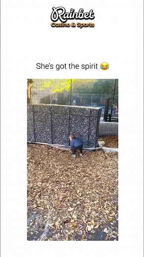 Vortex Reel on Reels