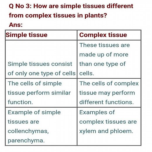 How are the simple tissues different from complex tissue in plants SCIENCE BIOLOGY CLASS 9TH