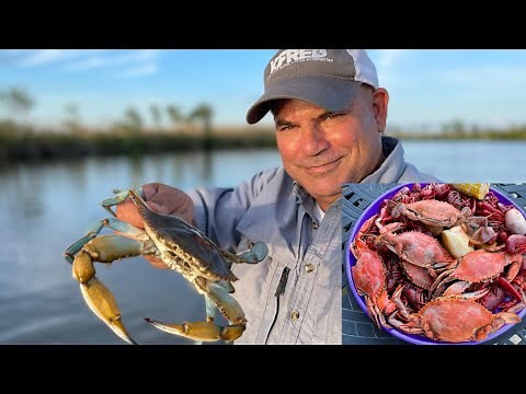 Louisiana Blue Crab (Catch & Cook) Boiled Crabs & Crawfish