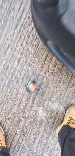 Funny Winter Mishap with Screen Wash and Washing Up Liquid