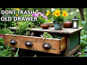 From Forgotten Drawers to Magical Garden Decor You’ll Love