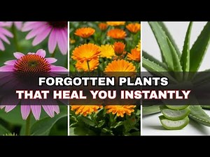 10 Medicinal Plants That Will Heal You Instantly