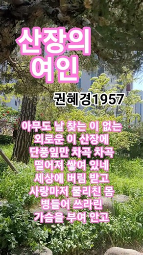 산장의 여인 #권혜경#트로트#1957권혜경 인생곡