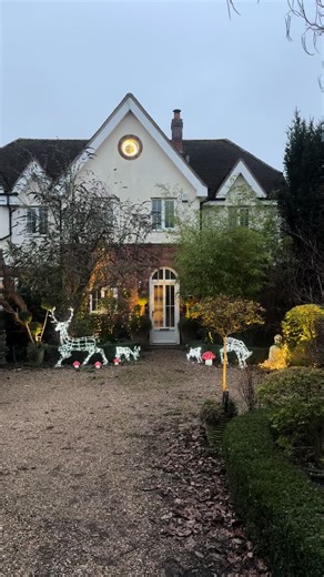 #flitwick lights #christmas lights omg#christmas