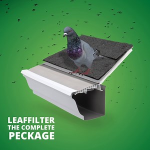 Did you know there are 🐦 10,000 species of birds? LeafFilter keeps them all out of your gutters with our stainless steel micromesh! #WorldWildlifeDay | LeafFilter Gutter Protection