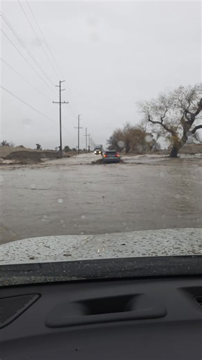 BCakes (@original_b_cakes)’s videos with Have You Ever Seen The Rain - Creedence Clearwater Revival