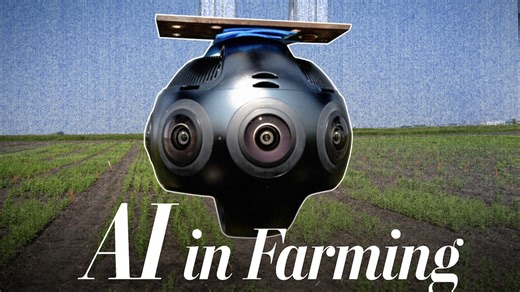 AI gives farmers new tools to fight heat, pests, and disease