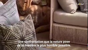 4.9M views · 10K reactions | Cette mangouste a tout à perdre face à cet énorme cobra. Le combat est très inégal, le serpent a tout l'avantage et peut donner au mammifère une mort horrible. Cependant, le petit gars garde un secret qui mènera finalement à un résultat inattendu. | Le Kiwi | Facebook