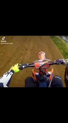 Burgir! (@colorless_burgir)’s videos with original sound - Burgir!