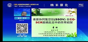 表面协同氧空位（ SSOV ）在 CO -SCR 脱销反应中的作用初探——董林 南京大学