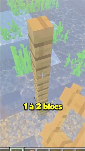 The FASTEST MINECRAFT BUILD HACK! 🤭