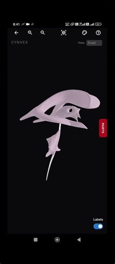 TCML Anatomy 3D Modes