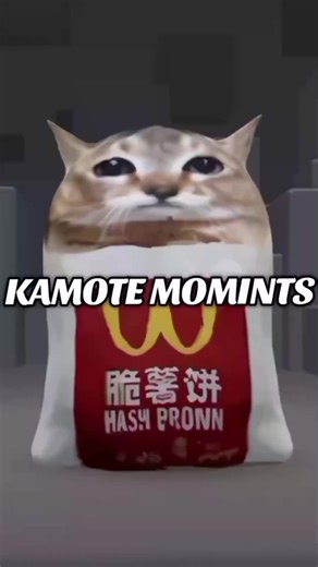 Roblox JDM Edits: NPC Troll na Nagliparan