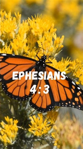 Ephesians 4:3