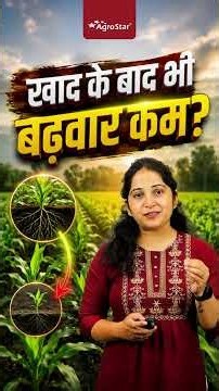 Why is Crop Growth Poor Despite Full Fertilization? | Humic + Fulvic | Root Growth | Bhumika | #s...