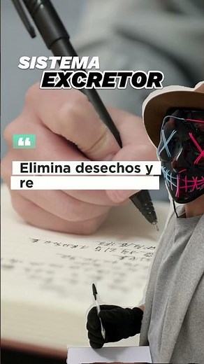 CONCEPTO 334: SISTEMA EXCRETOR #elprofe #cositas #conceptos #curiosidades #aprender #biologia