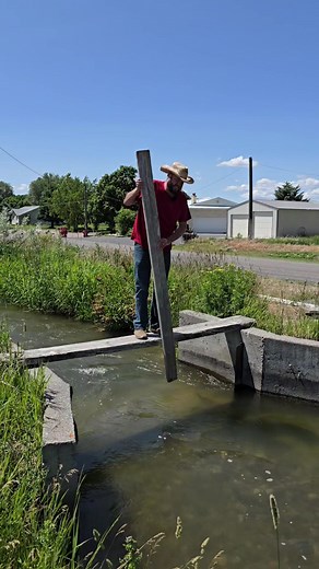 Understanding Flood Irrigation for Water Conservation