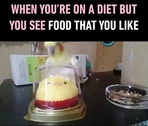 That frustration! | 9GAG Vibes