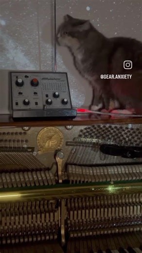 👽🛸 X Files ft Misha 🛸👽 w/ Theremin @stylophone_official demo: X Files Theme Song- John Beal