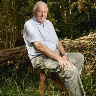 Planet Earth 3 trailer (BBC)