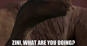 Zini, what are you doing?