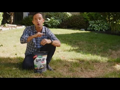 How To Get Rid of Grubs with Scotts® Grub B Gon MAX® Grub Killer