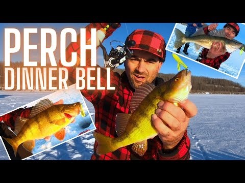 How to Catch Jumbo Perch Ice Fishing with Spoons