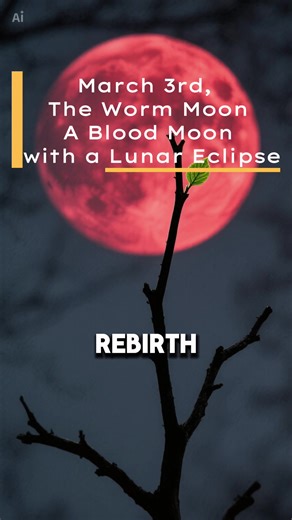 🧿Socratic.Alchemist🧿 (@socratic.alchemist)’s video of lunar eclipse