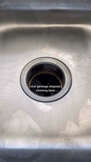 hacks 101 🫧 #disposalcleaning #foryou #garbagedisposal #CleanTok #cleantiktok #cleaninghacks #lifehacks #KitchenHacks