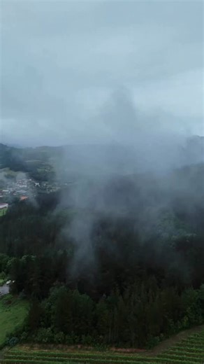 Into the Green Heart of the Basque Country 🌿 Step into a land of myths and legends! 🧚‍♂️ From Basajaun, the forest guardian of Gorbeia 🌲, to Mari, queen of nature in the Anboto mountains ⛰️ Follow the footsteps of shepherds in Urkiola 🐑, fishermen in Lekeitio 🎣, and pelota legends in Markina-Xemein 🏆 — the “University of Jai Alai”! End your journey in Vitoria-Gasteiz 🏰, exploring its majestic Santa María Cathedral. This final stage of the Basque Country Grand Tour is a magical mix of natu