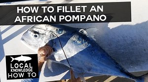 How to Fillet an African Pompano! Rush Maltz demonstrates his method of how to fillet an African Pompano. #africanpompano #filletingfish #catchcleancook | Local Knowledge