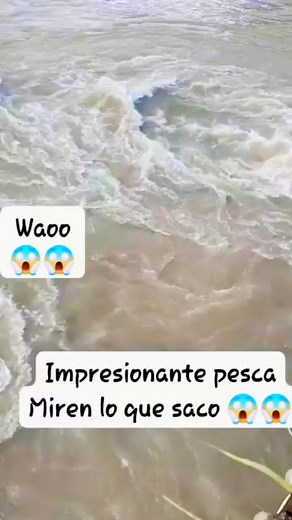 123K views · 637 reactions | Impresionante atarrayazo #picturechallenge #pesca | Pezca y Aventura Joel | Facebook