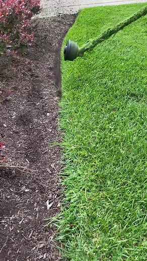 Mikey Guess on TikTok