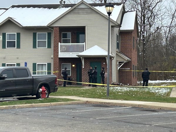 Lansing police identify teenage shooting victim