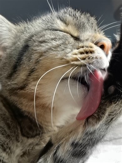 Experience Misti's Glow: A Heartfelt Musical Journey