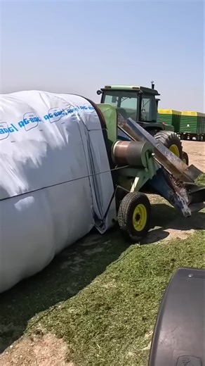 Kip Siegler on Instagram: "Chopping Corn & Laying More: Farm Life in Action! Witness the satisfying process of harvesting hay! Our video showcases the tractor and chopper in action, expertly processing and loading hay. From adjusting the chute to transporting wrapped bales, experience the efficiency and beauty of modern farming. #ChoppingCorn #Farming #Tractor #HayHarvest #Agriculture #FarmLife #HayBale #ChoppingCorn #FarmMachinery #Harvesting #Countryside"