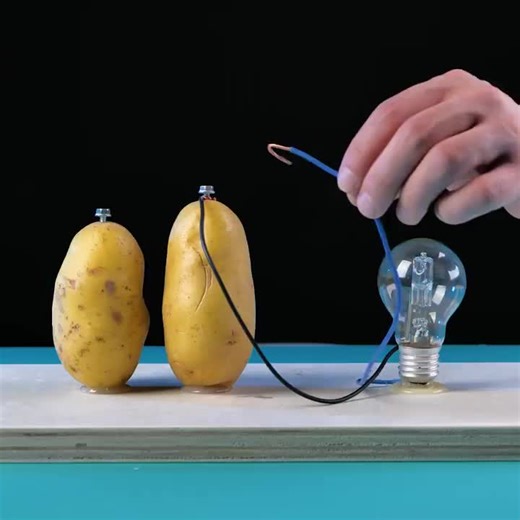 How to Power a Light Bulb with a Potato - DIY Science Experiment | The Leaders League posted on the topic | LinkedIn