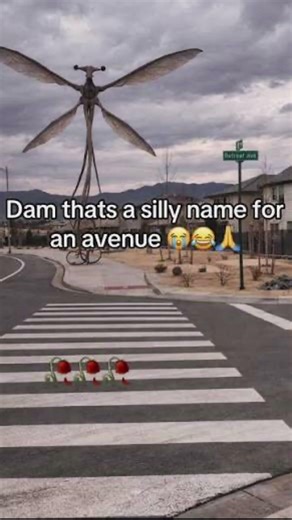 What kind of silly name is that