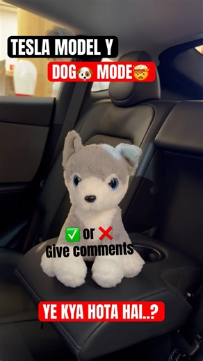 TESLA MODEL Y ka DOG MODE FEATURE EXPLAINED🤯😍 best car for DOG lovers #teslamodely #tesla #shorts