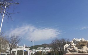 QGIS下载遥感影像并用 gdal 裁剪