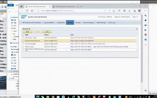 SAP B1系统架构目录 (SLD) 和许可证服务器问题的故障排除步骤